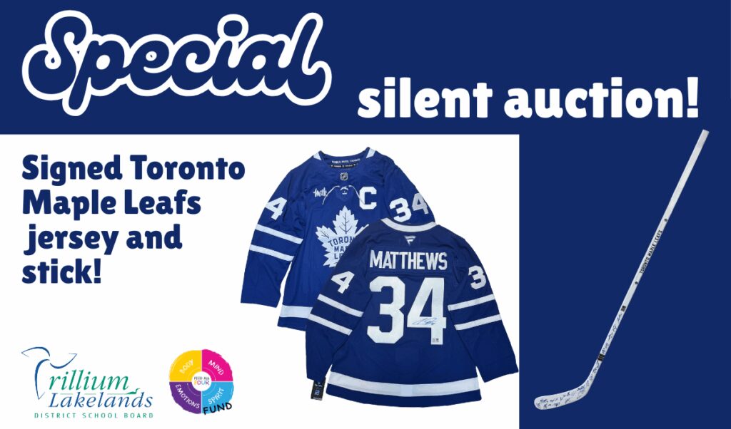 Special online silent auction - open until December 15